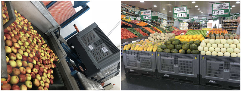 fruit use collapsible pallet bin